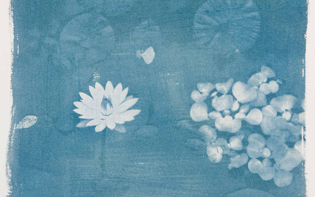 Cyanotypes Workshop | Saturday, June 21