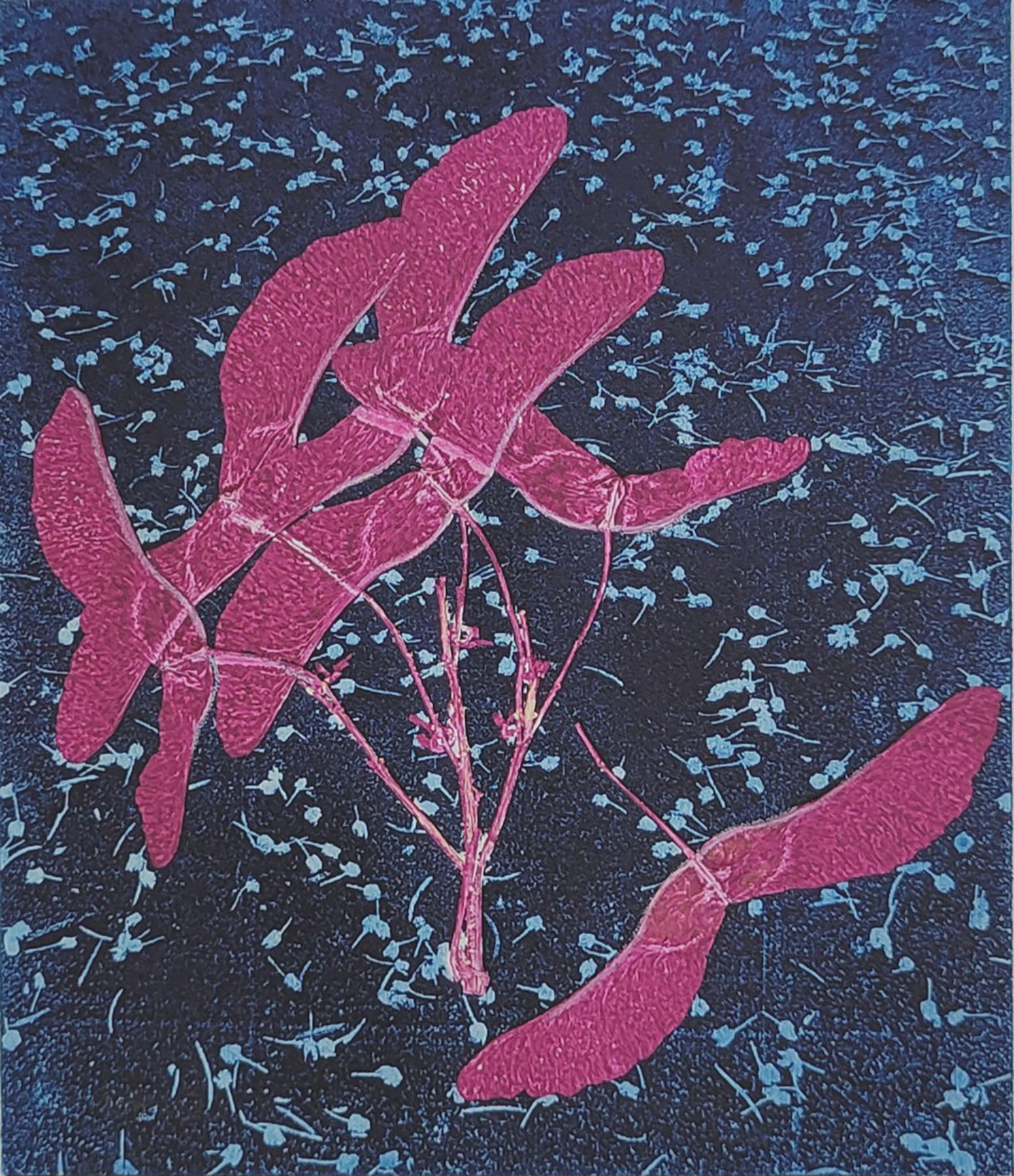 So Many Maple Trees 4