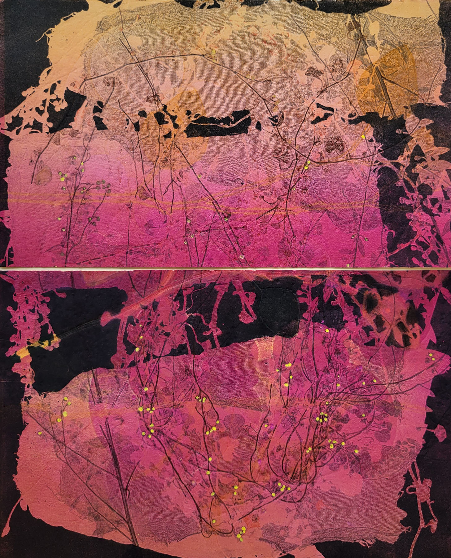 Under the Setting Sun