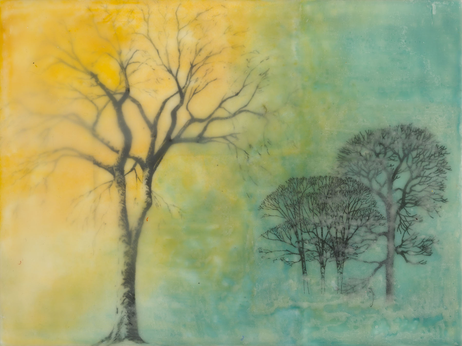 Translucent Wax Workshop | Saturday, November 7